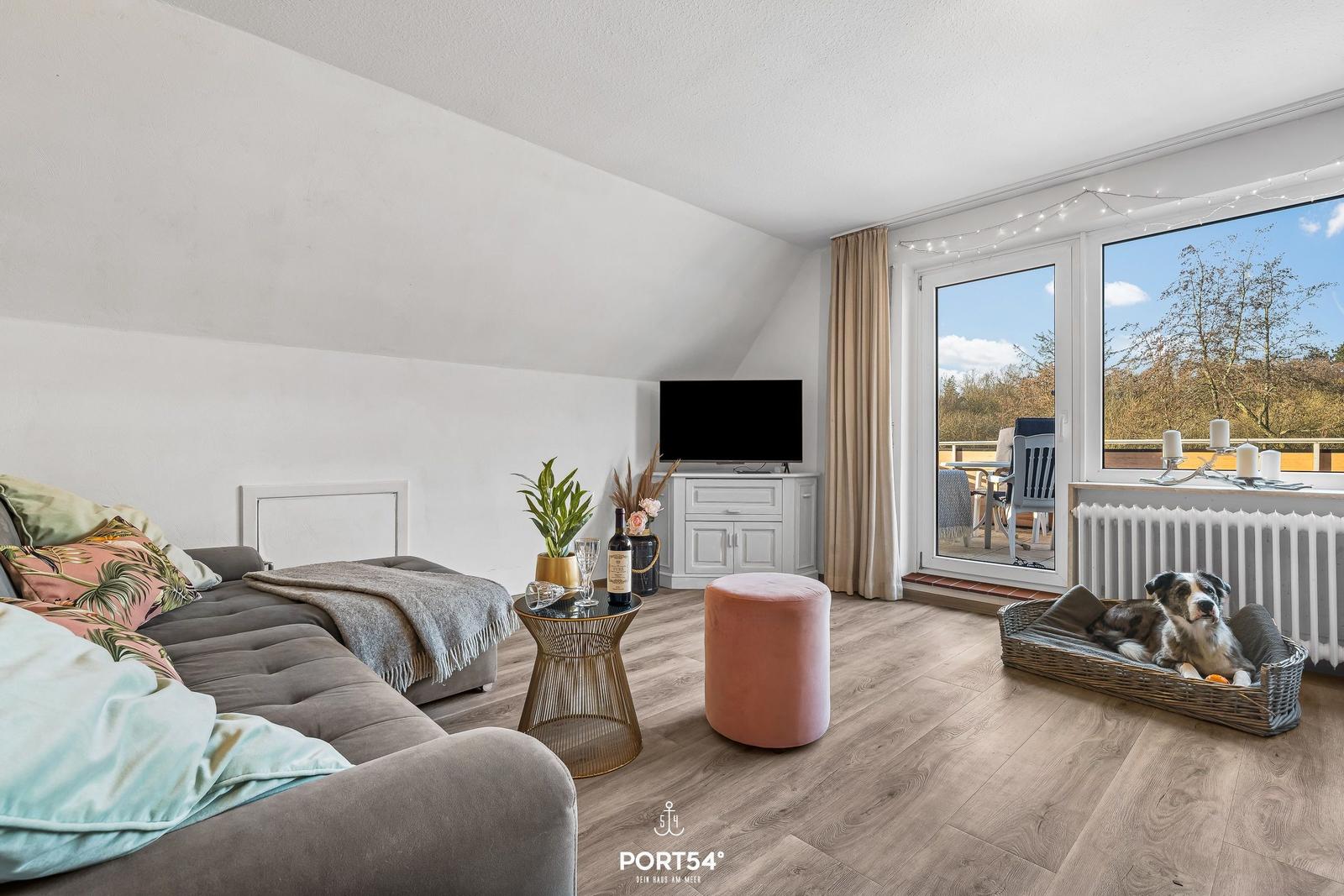 Wohnzimmer mit Sofa, Fernseher und Blick auf Balkon mit Hund.