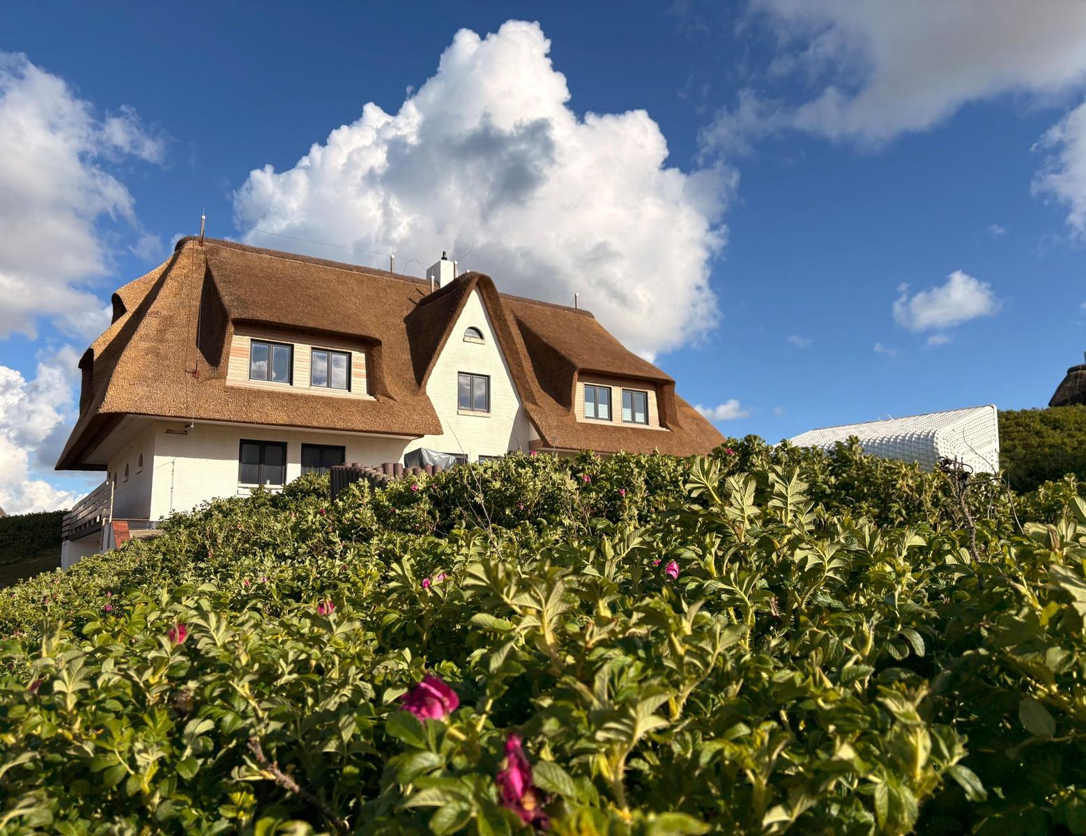 Haus mit strohgedecktem Dach und grüner Vegetation im Vordergrund.
