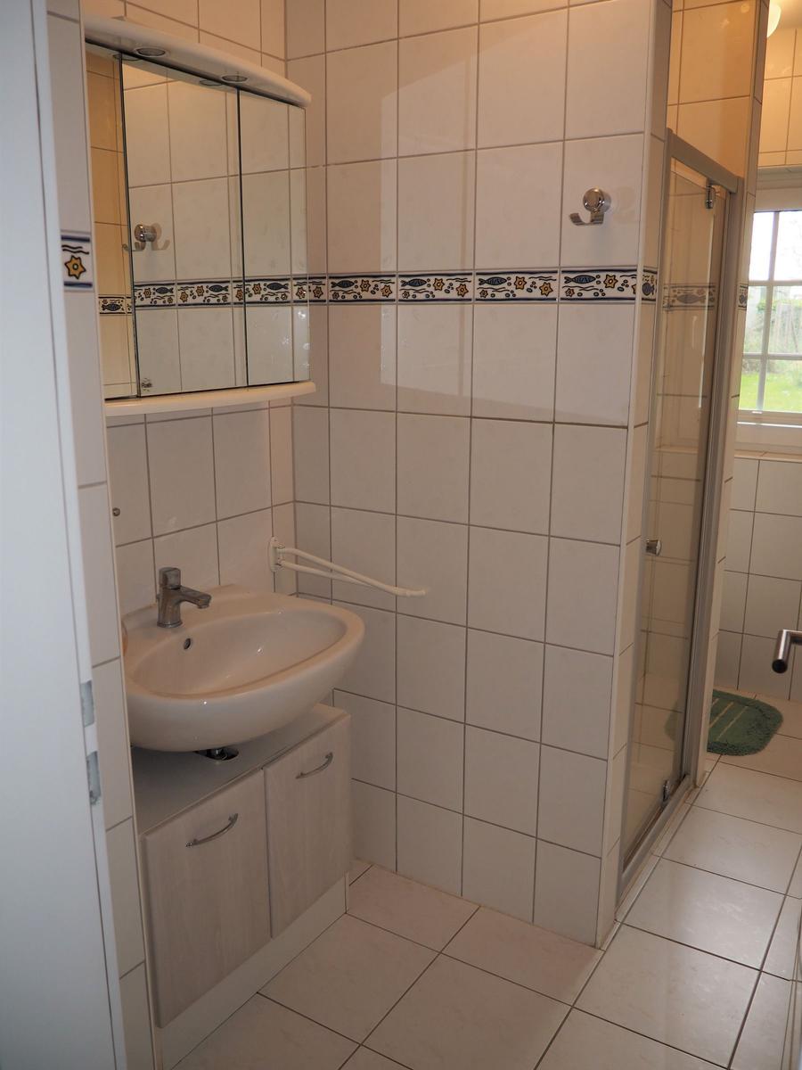 Badezimmer mit Dusche, Waschbecken und Spiegelschrank.