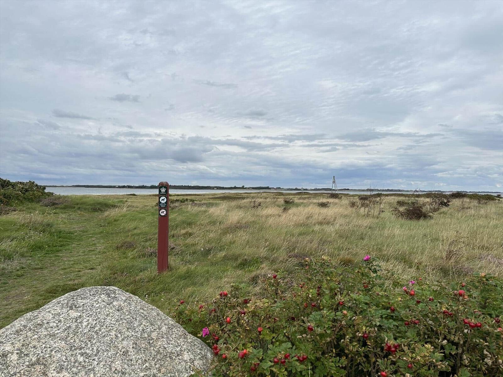 Wiesenweg mit Schild, Stein und roten Beeren, Blick auf Wasser und Horizont.