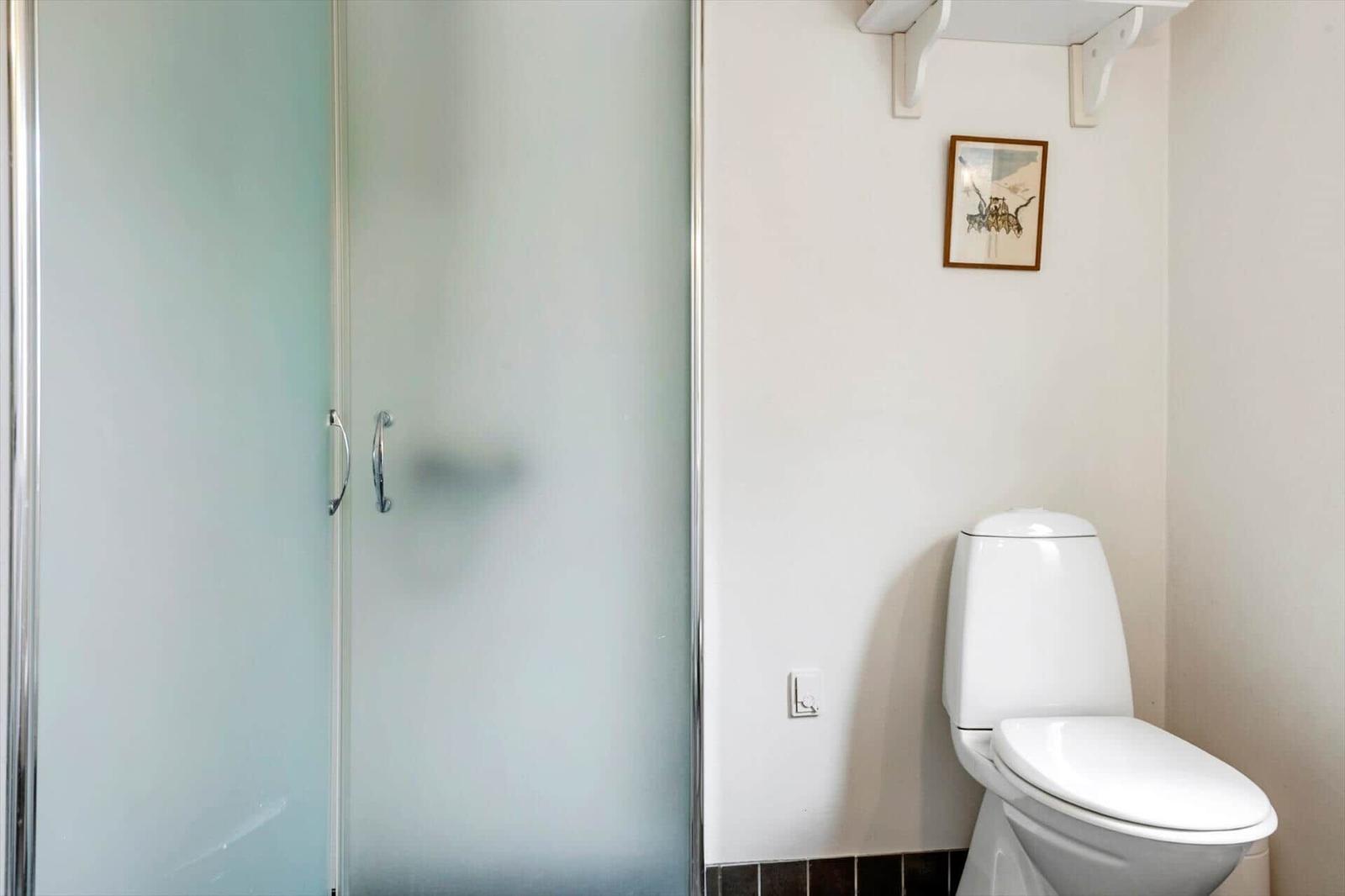 Badezimmer mit Dusche und Toilette. An der Wand hängt ein Bild.
