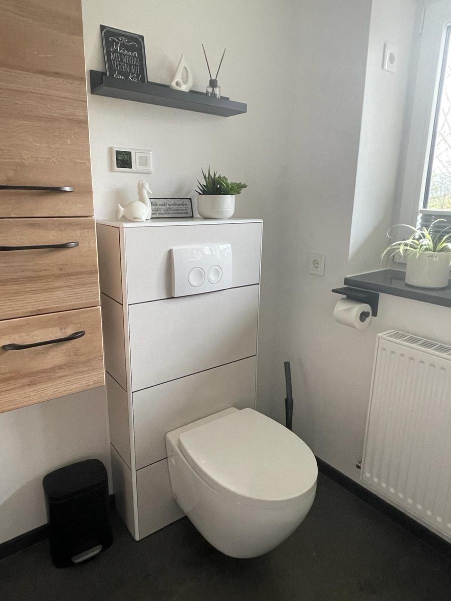 Toilette mit integriertem Waschbecken und Pflanzen auf Fensterbank