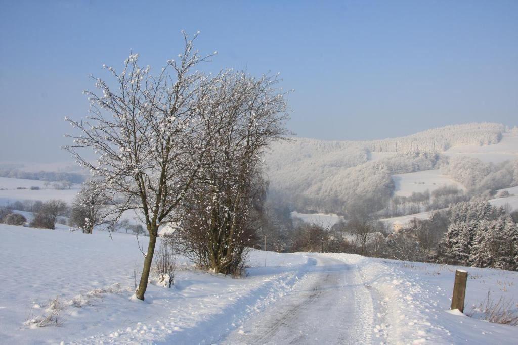 Schneebedeckter Weg durch winterliche Landschaft mit Bäumen und Hügeln.