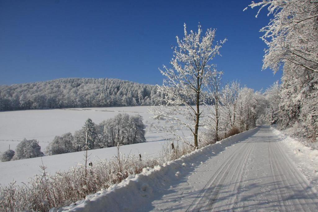 Schneebedeckter Weg durch winterliches Landschaftsbild mit Bäumen und Hügeln.
