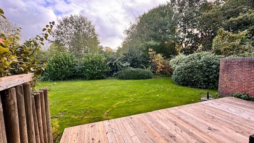 Blick in den Garten...