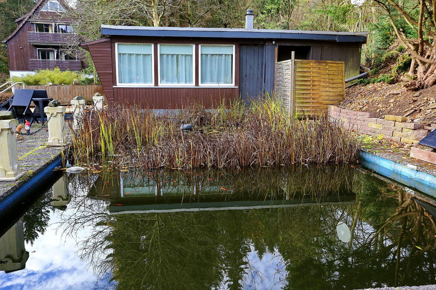 Haus mit Teich und Uferbereich mit Pflanzen und Gartenmöbeln