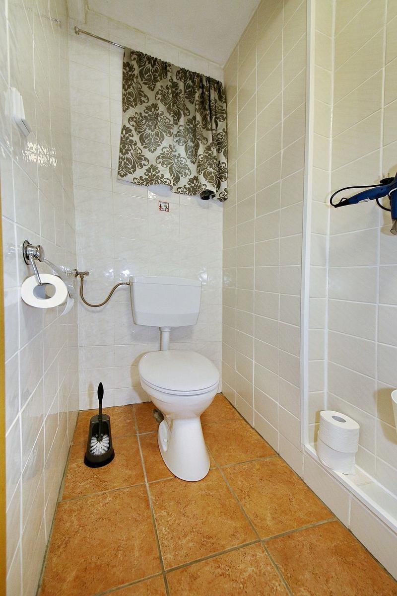 Toilette mit braunem Musterrollo, Toilettenbürste und Toilettenpapier