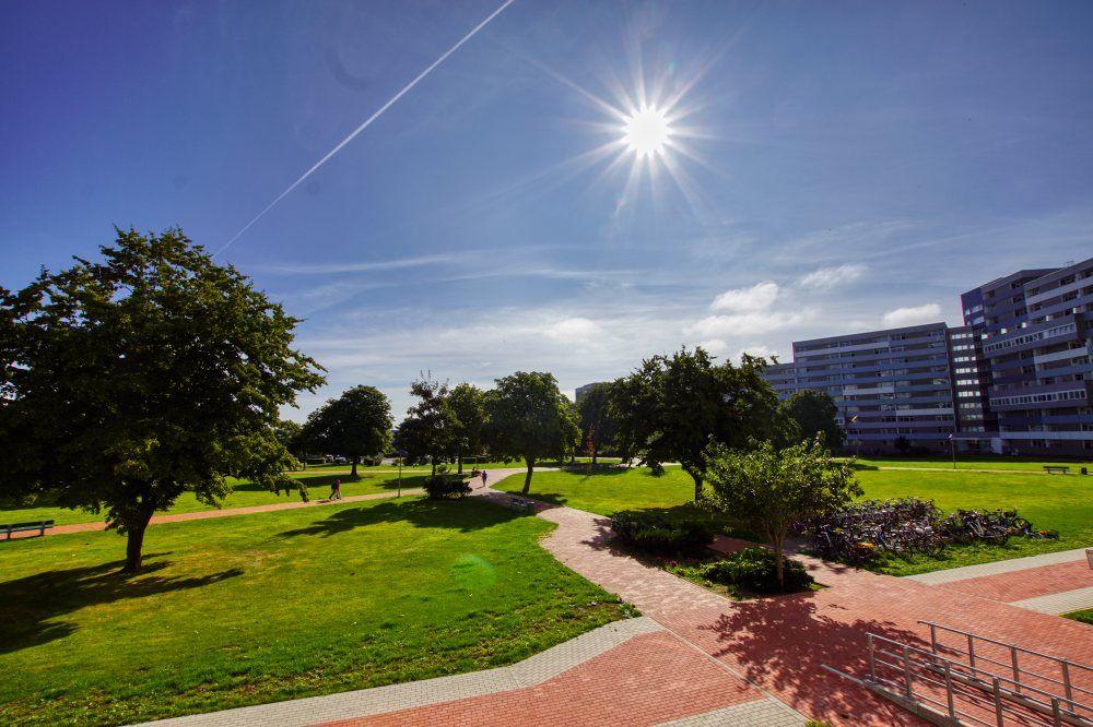 Sonniger Park mit Wegen, Bäumen und Wohngebäuden im Hintergrund.