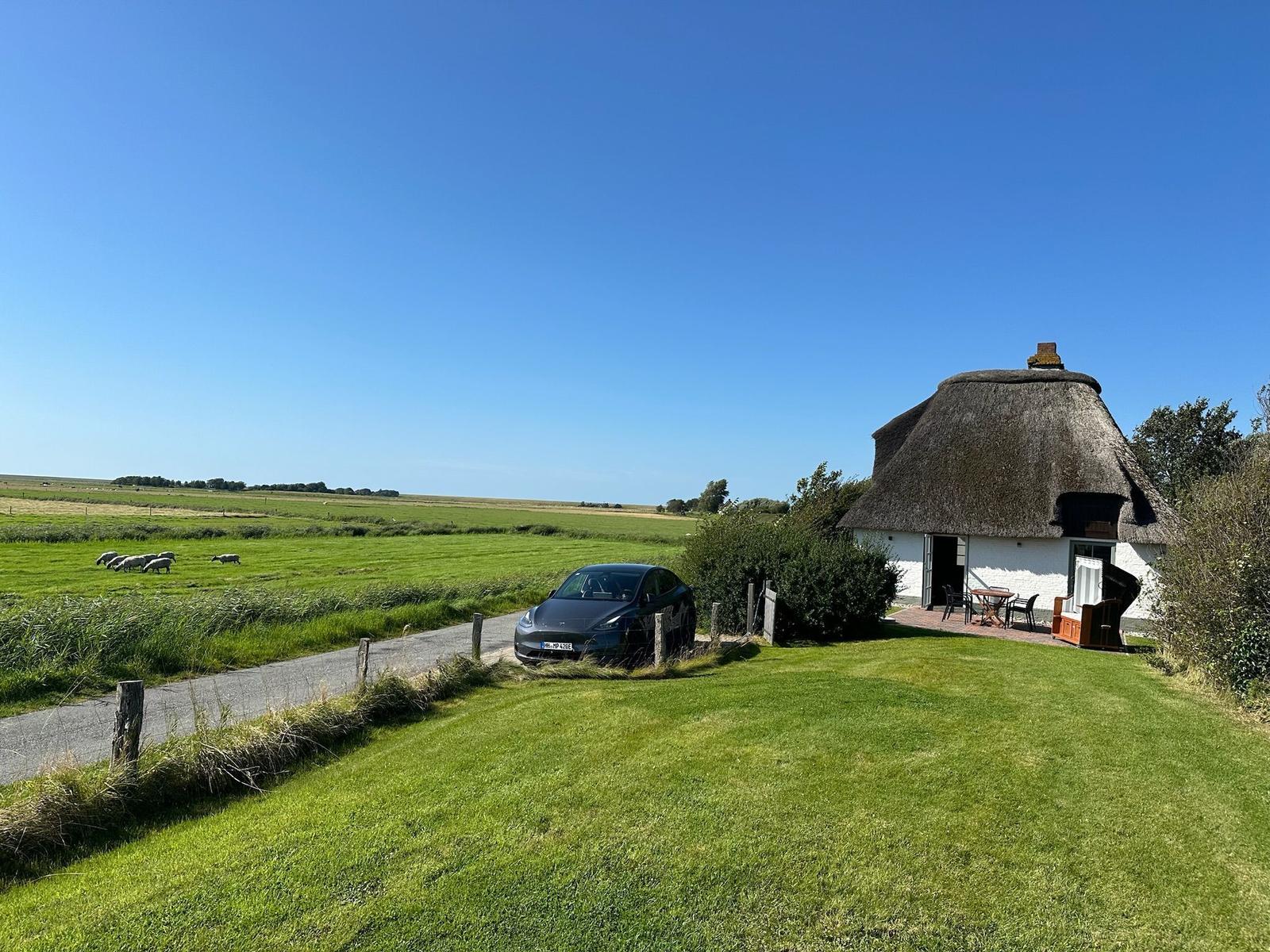 Hütte mit Strohdach, Terrasse und Auto vor grünen Wiesen mit Schafen.