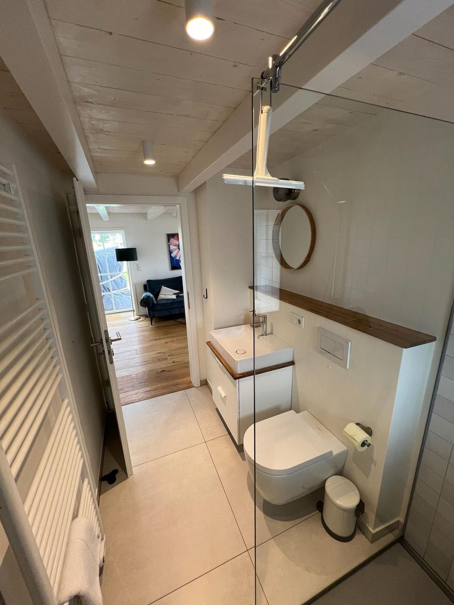 Badezimmer mit Dusche, Waschbecken und Toilette. Durchgang ins Wohnzimmer.