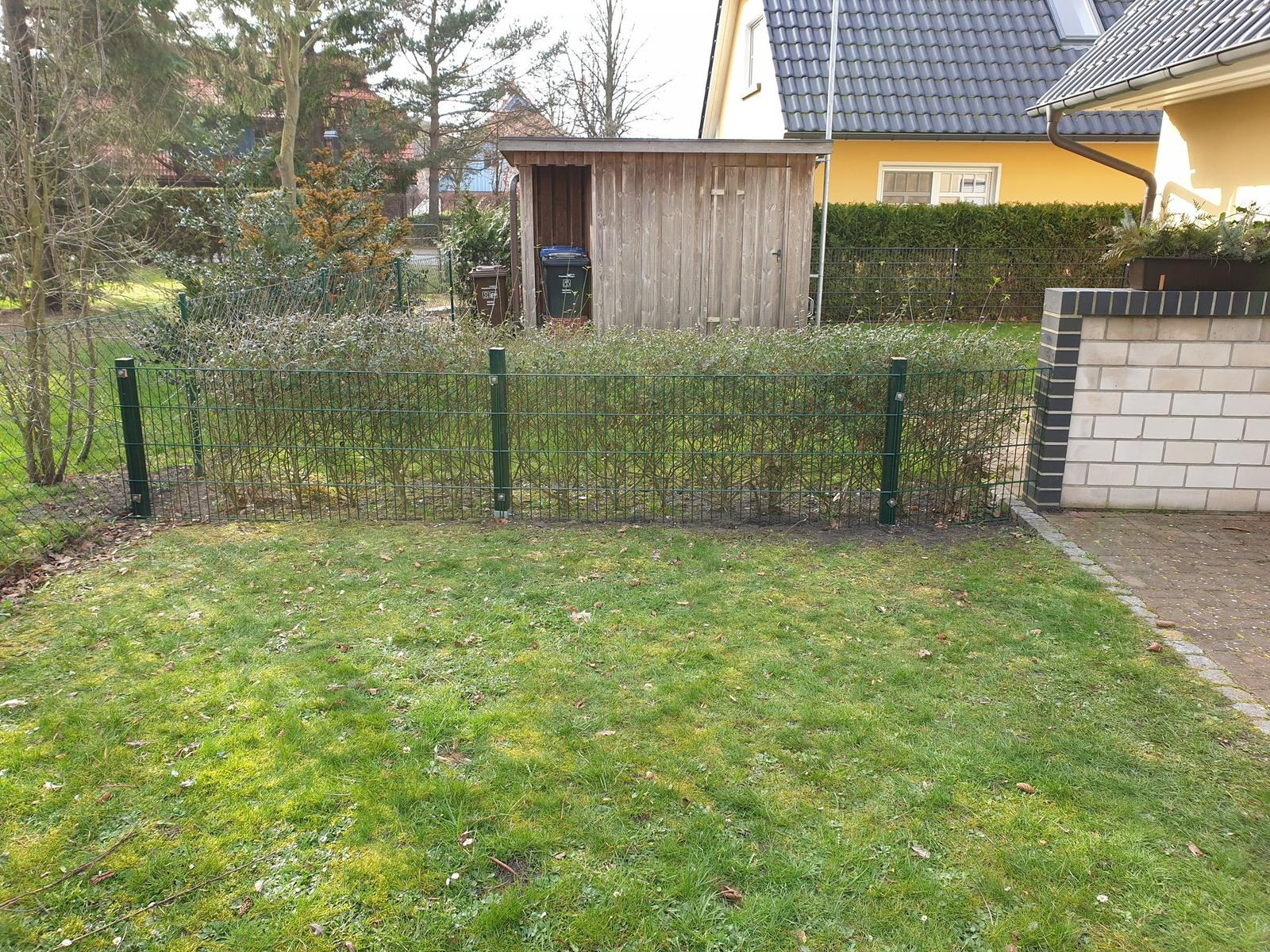 Grüner Rasenbereich mit Zaun und Holzschuppen im Hintergrund.
