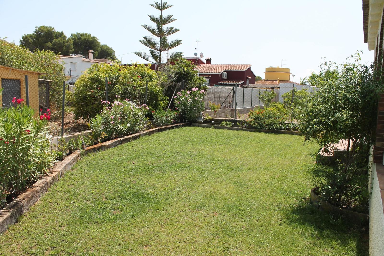 Grüner Garten mit Blumenbeeten und einem hohen Baum im Hintergrund.