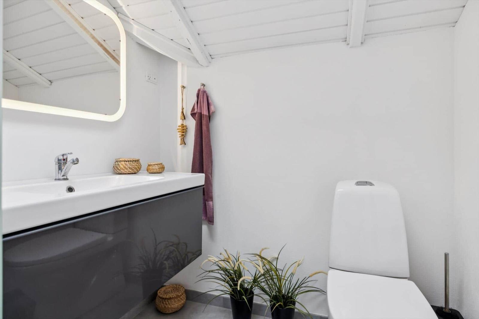 Bathroom with sink, mirror, and toilet. Towel rack and plants are visible.