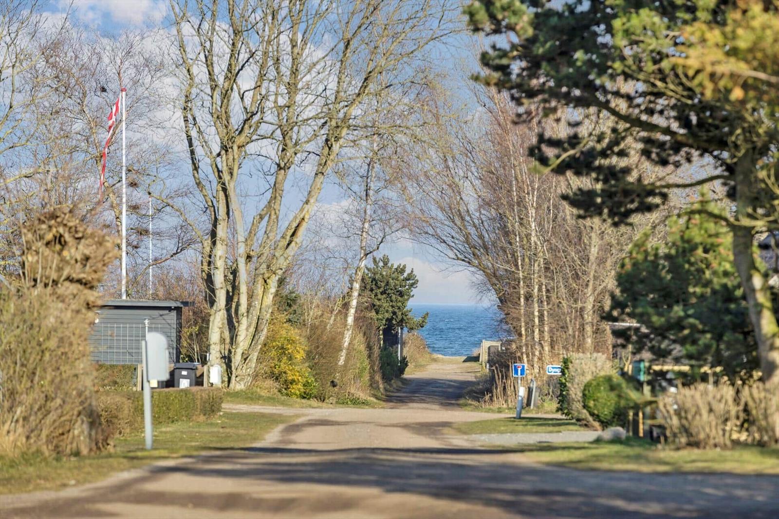 Path through trees to the coast. A flag and a small building are nearby.