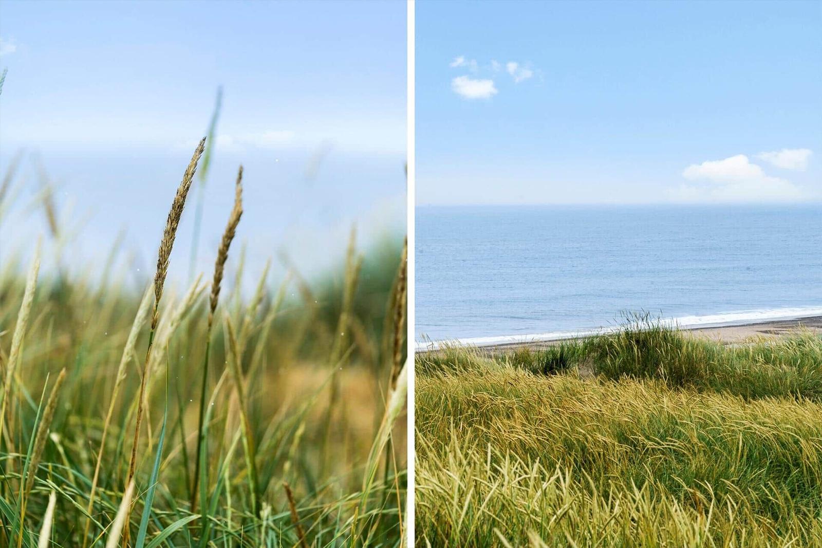 Meer und Strand aus Grashügeln mit blauem Himmel und weißen Wolken