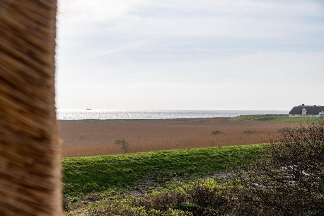 Blick auf das Meer mit Grasland und einem Haus im Hintergrund.