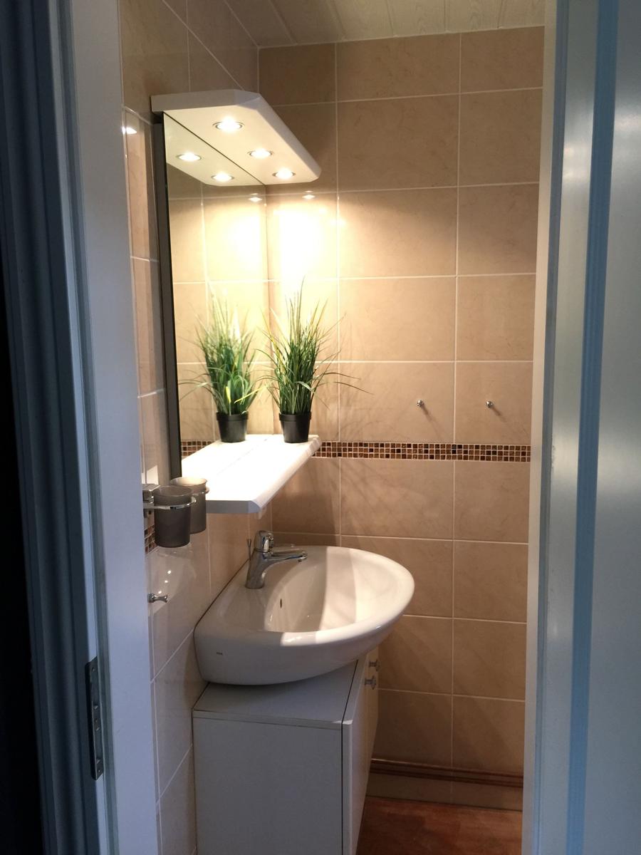 Badezimmer mit Waschbecken, Spiegel und Pflanzen.