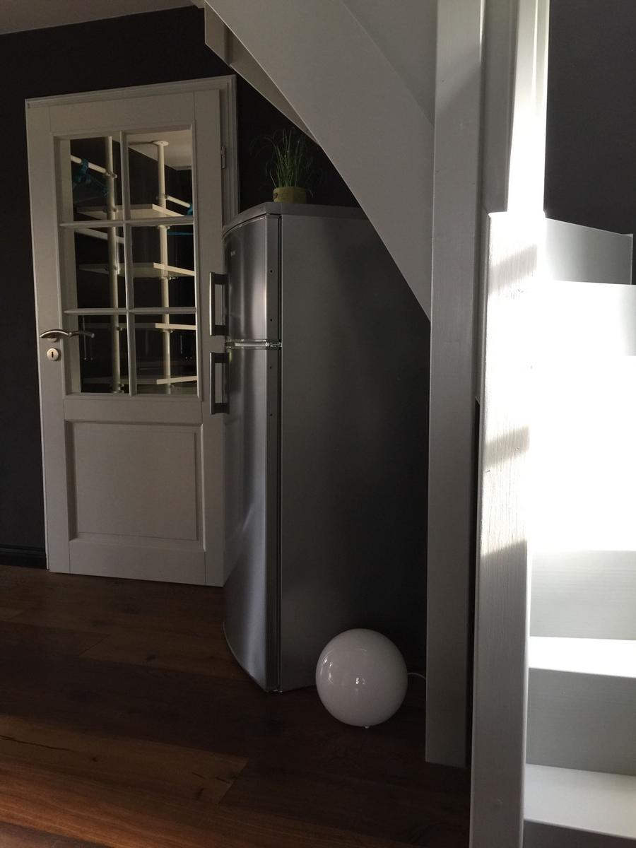 Küchenbereich mit Kühlschrank, Tür und Pflanze unter Treppe.