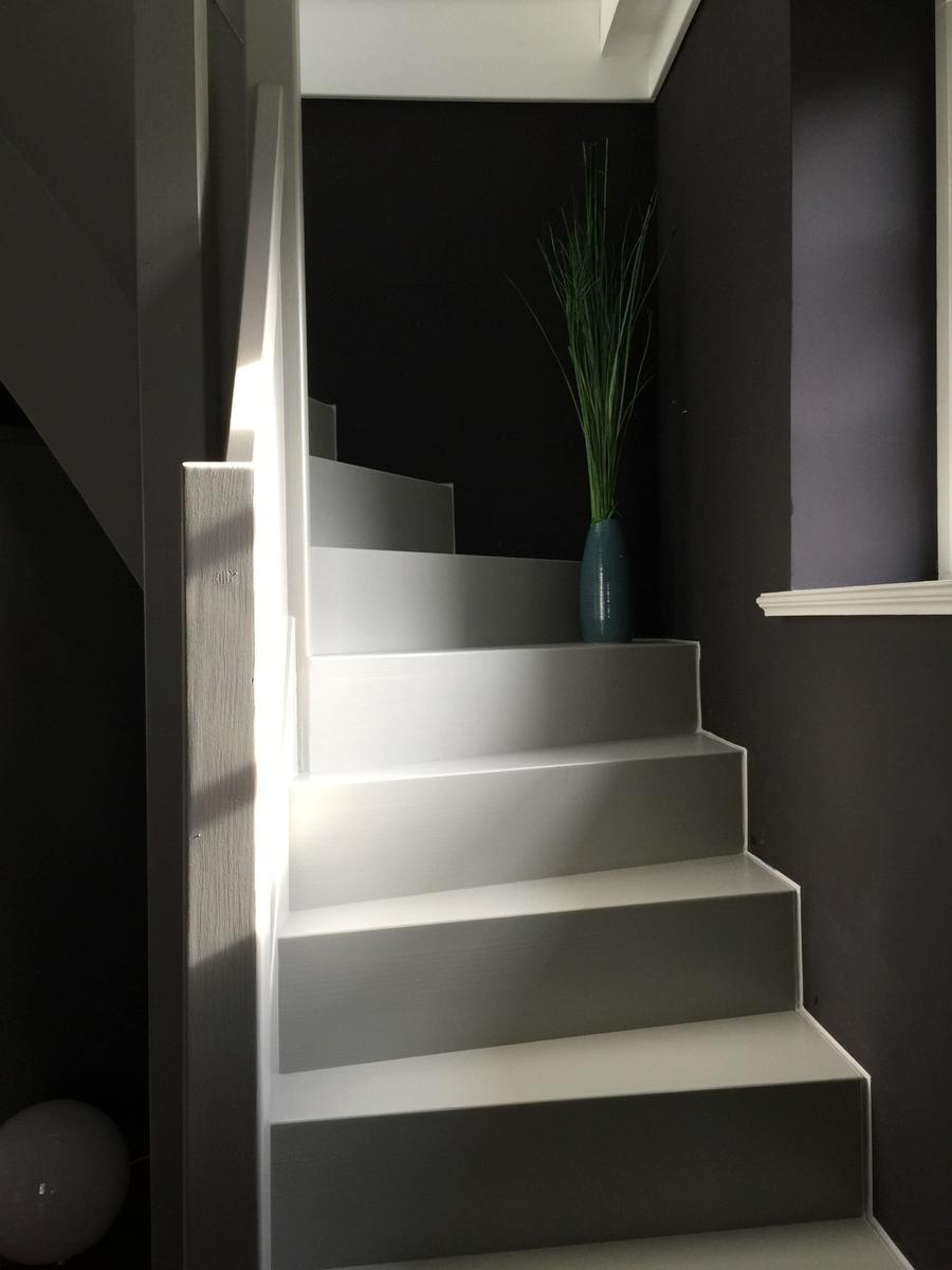 Treppenhaus mit weißen Stufen und dunklen Wänden. Eine Pflanze in einem blauen Topf steht auf der Treppe.