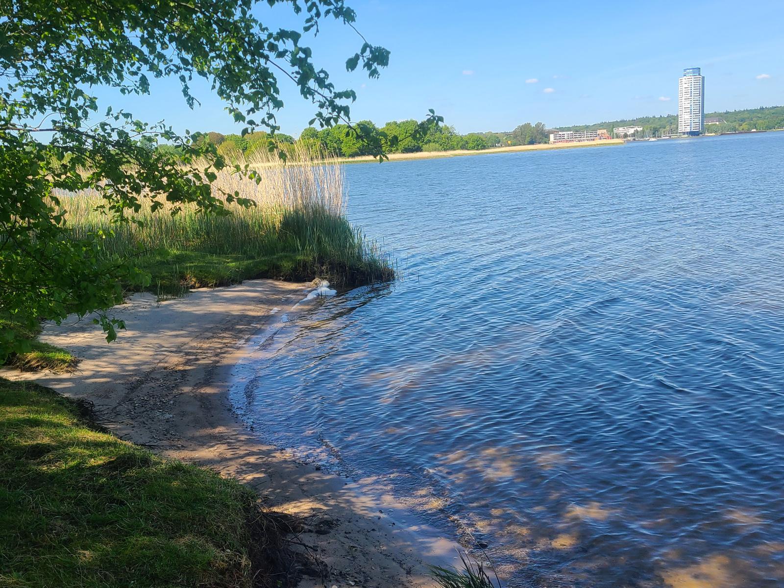 Ein schöner Weg an der Schlei.
