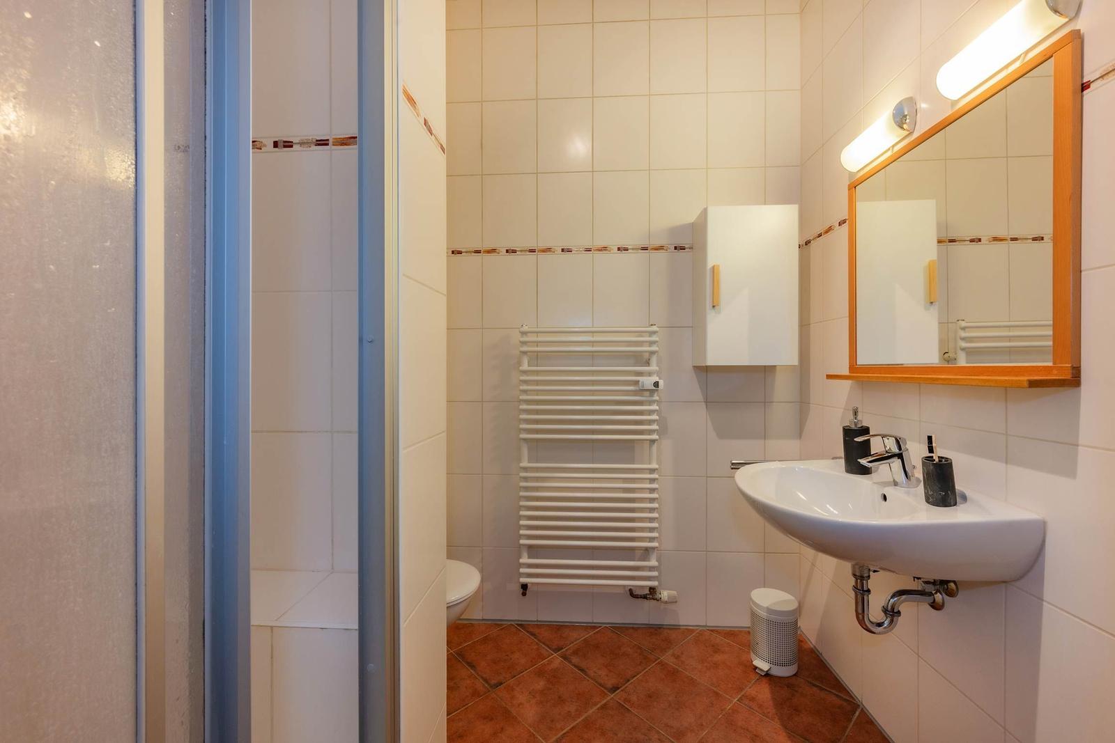 Badezimmer mit Dusche, Waschbecken und Heizkörper.