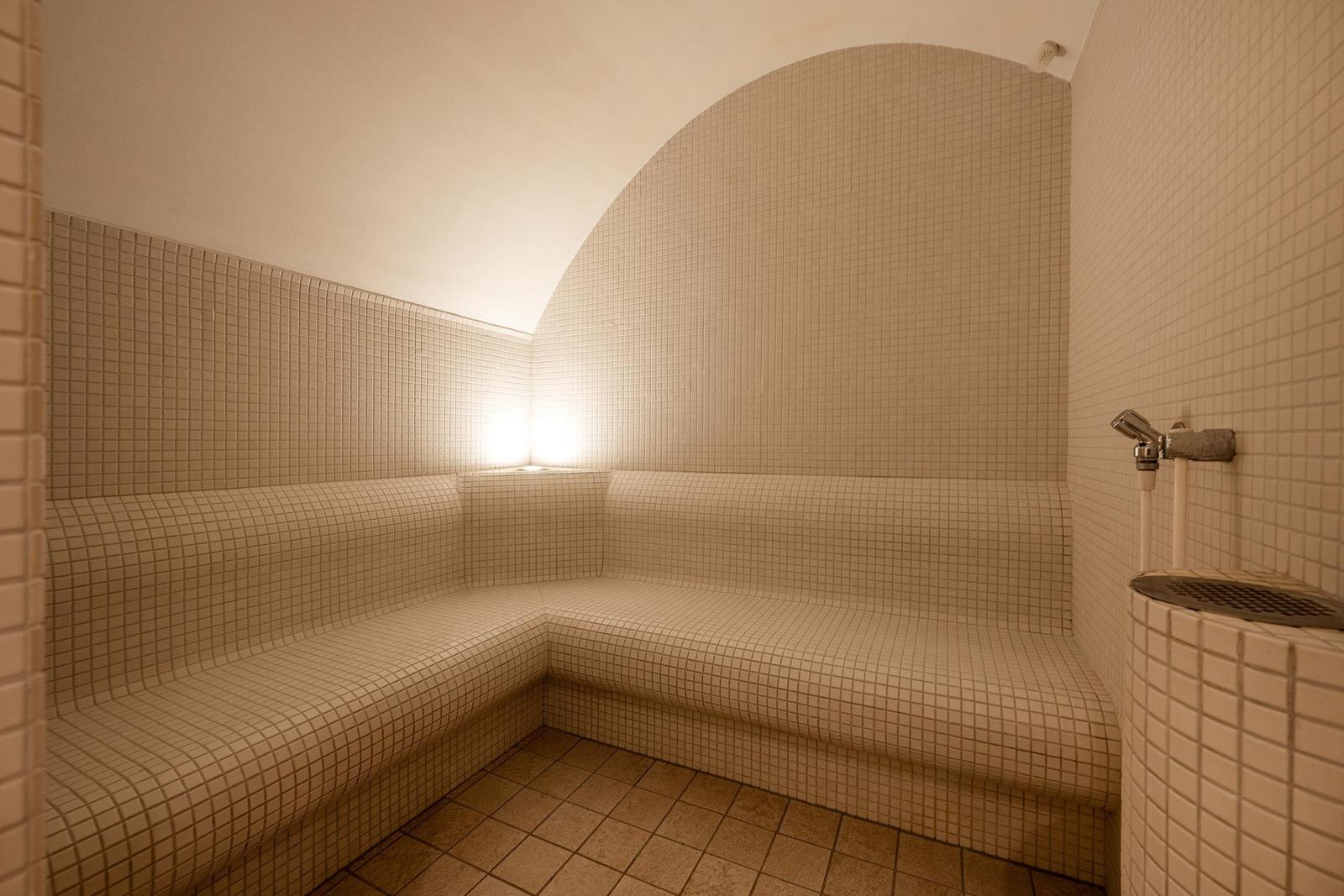 Dampfbad mit Steinbank und Dusche