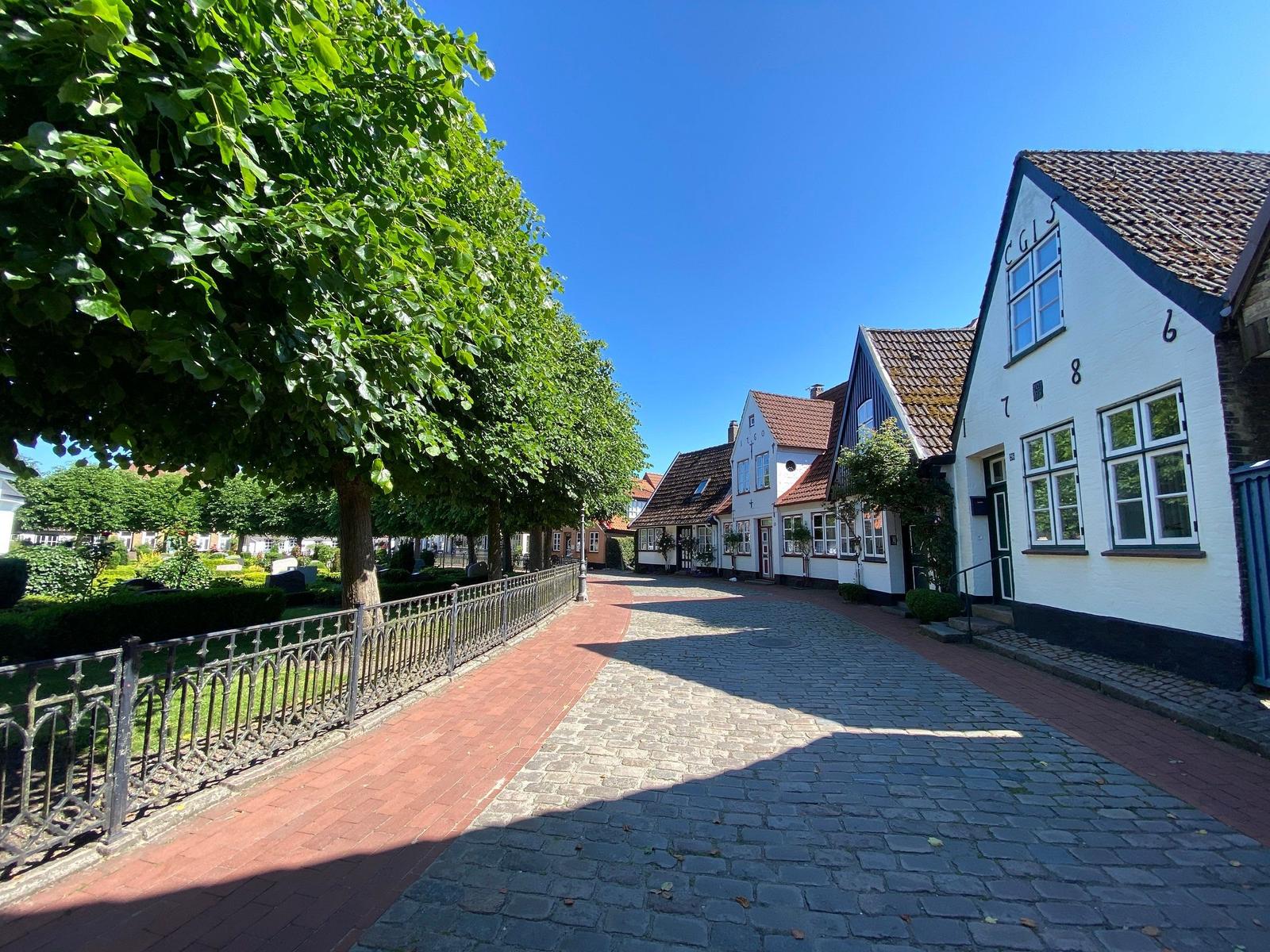 Kurze Straße mit traditionellen Häusern und Bäumen unter blauem Himmel.