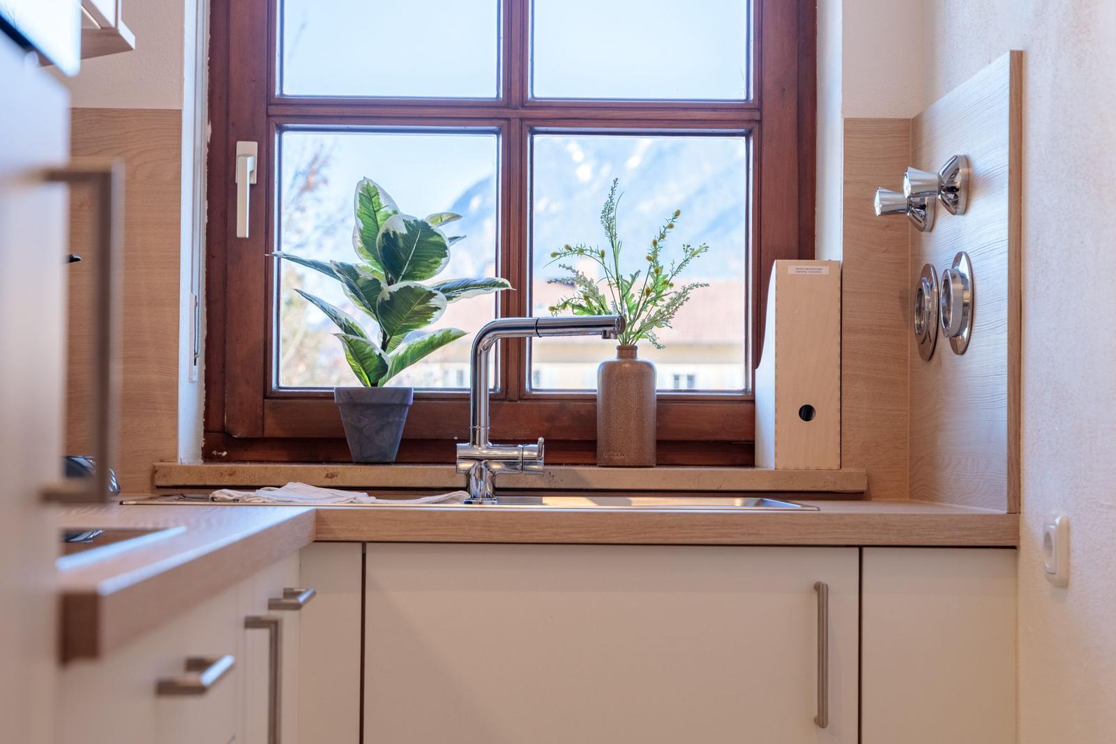 Küchenarbeitsfläche mit Fenster, Pflanzen und Wasserhahn.