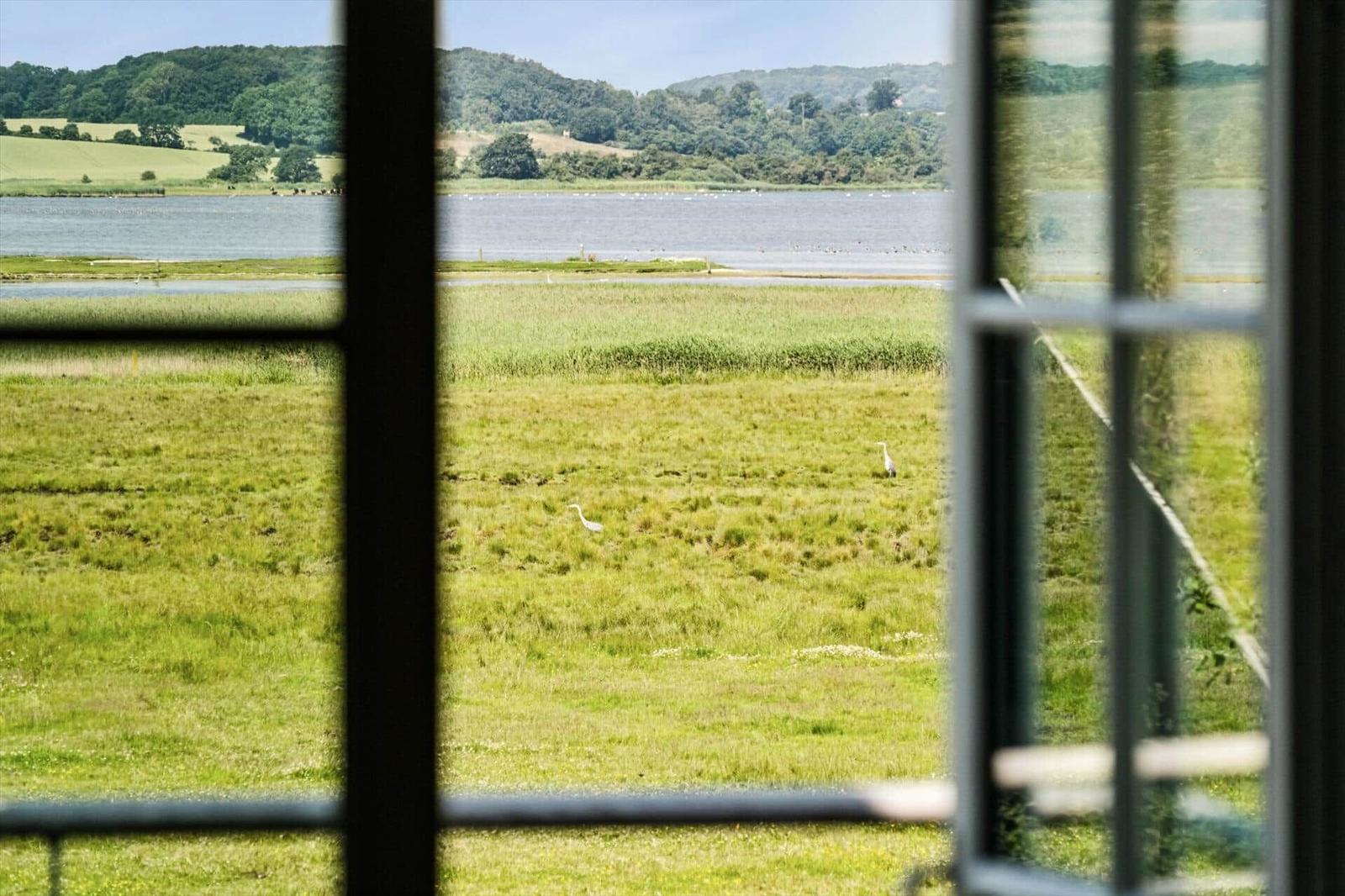 View from a window onto a lake and green meadows with white herons.