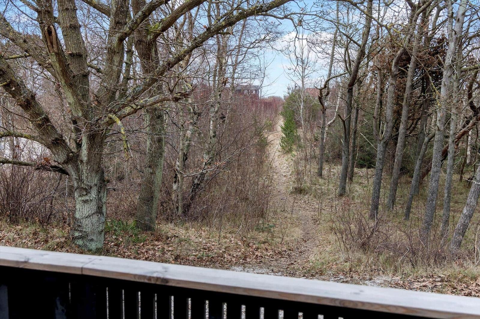 Waldweg führt zu einem Haus im Hintergrund. Blick von einer Terrasse aus.