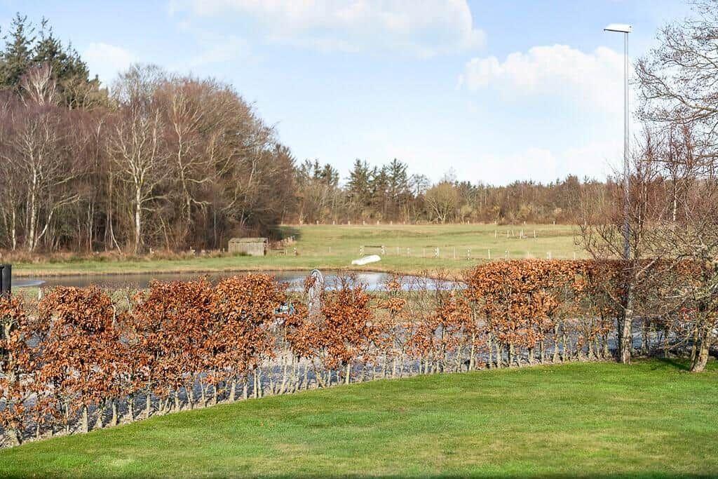 Grüner Rasenbereich mit Hecke, Teich und Wald im Hintergrund.