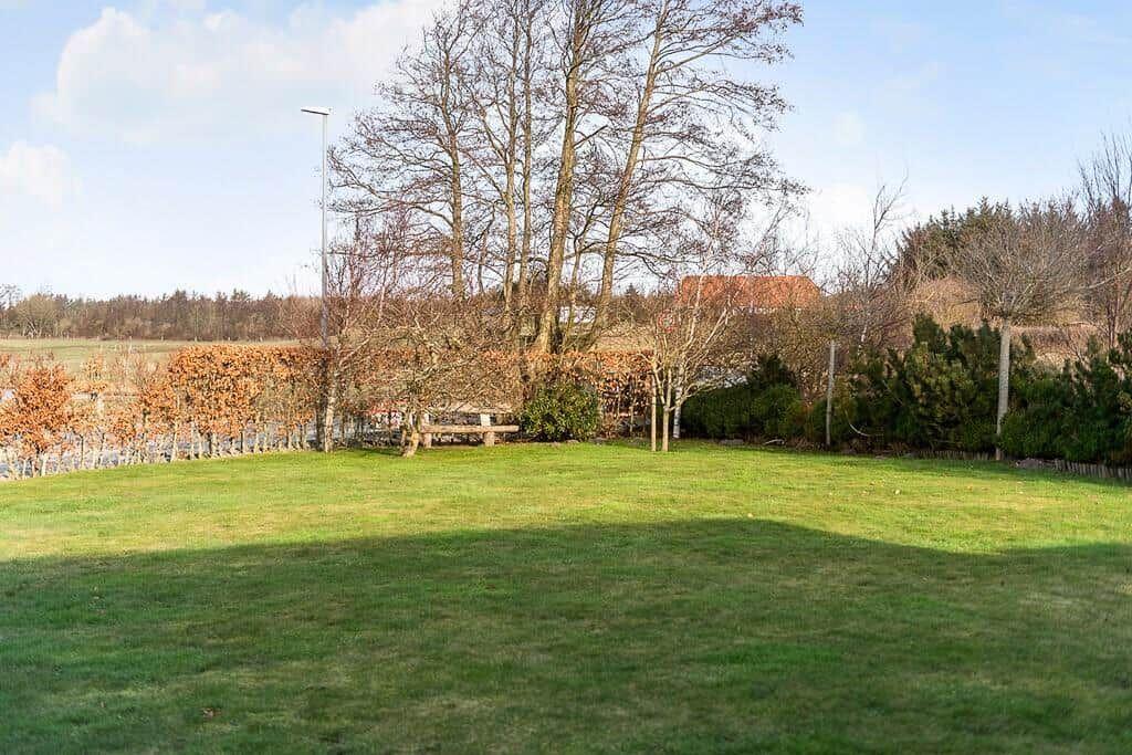 Grüner Rasenbereich mit Bäumen und Picknicktisch im Hintergrund.