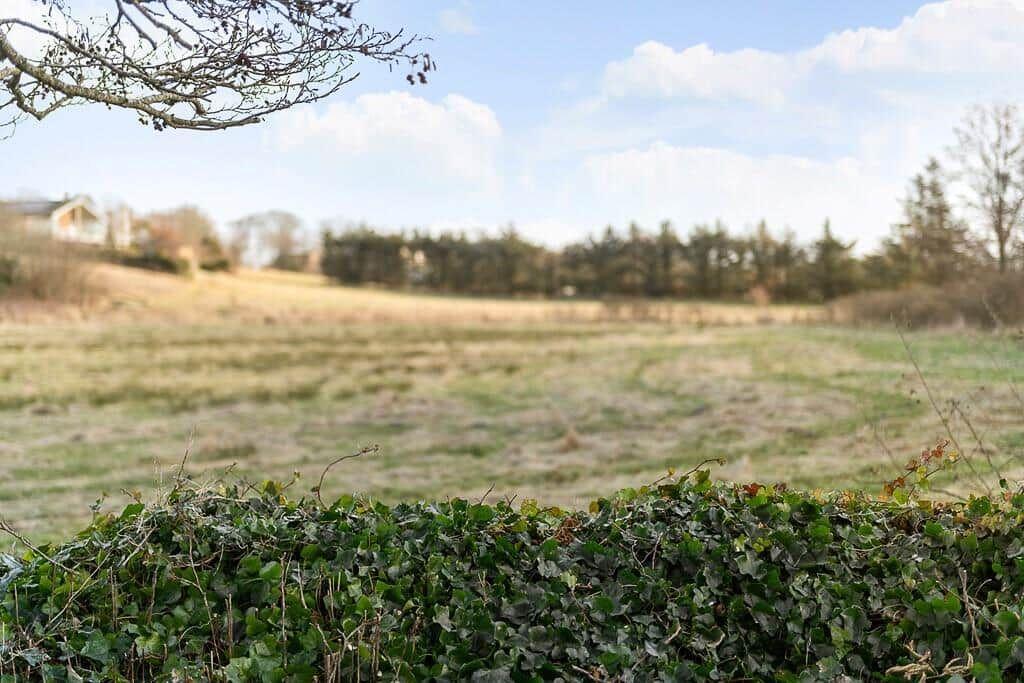 Grüner Heckenrand im Vordergrund, dahinter weites Feld und Wald im Hintergrund.