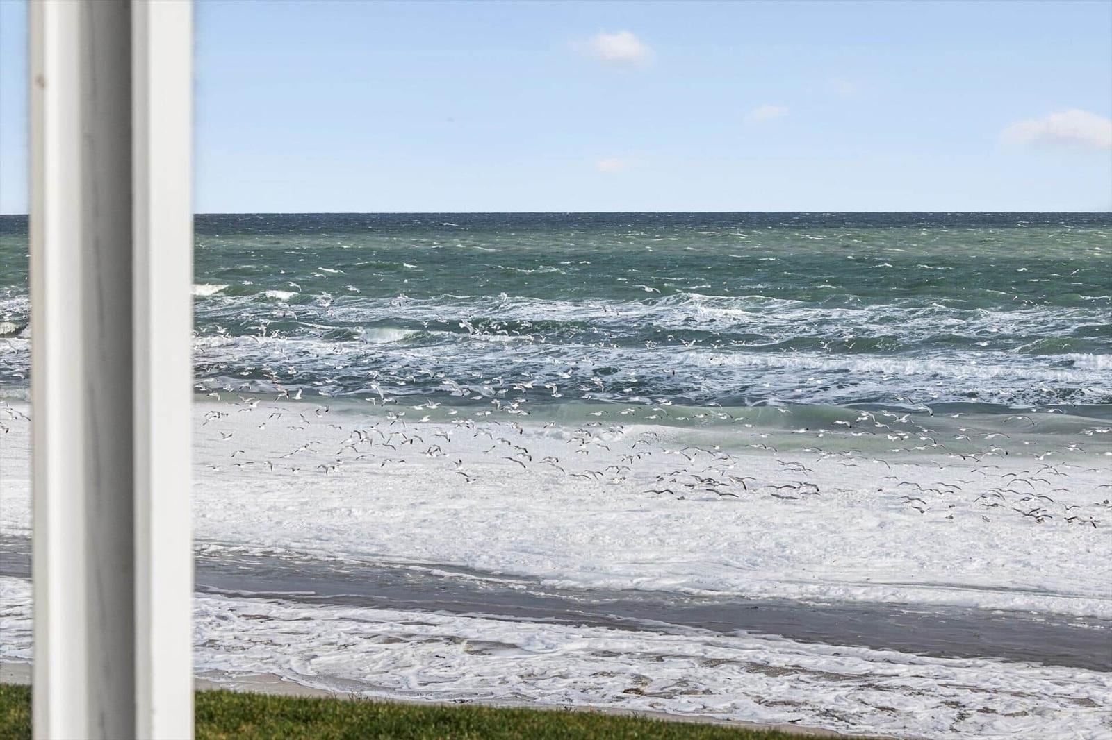 Ocean with waves and many seagulls, viewed through a window.