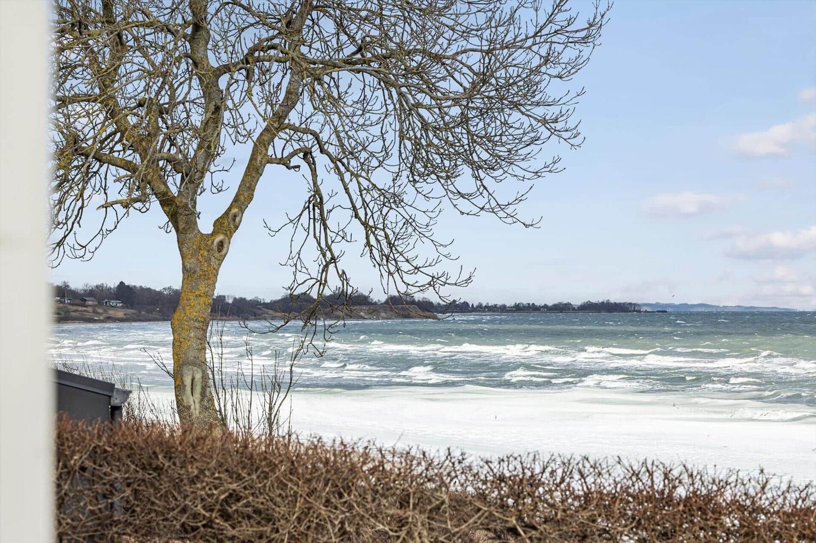 View of stormy sea under a bare tree with snow along the shore.