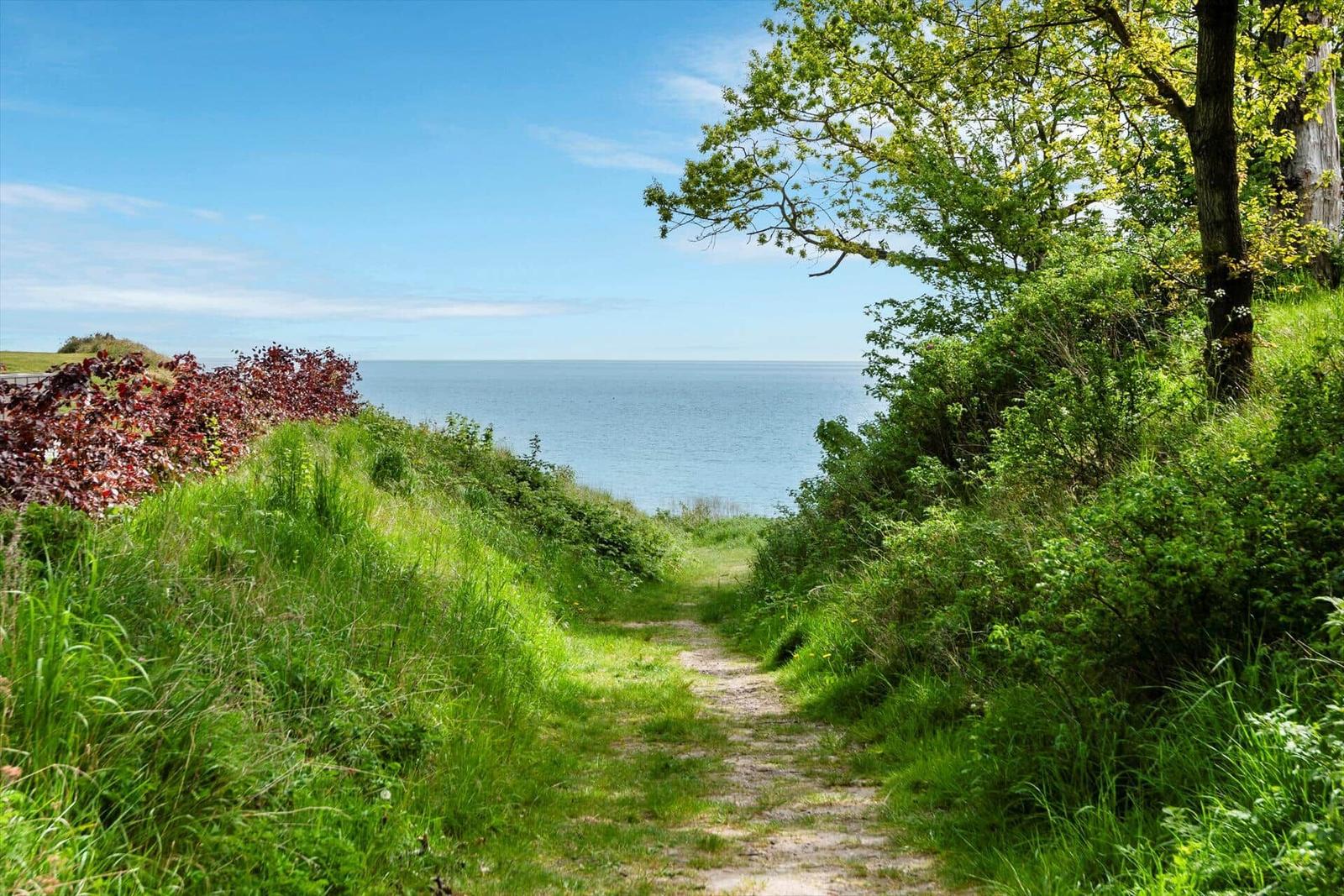 Path through green meadows to the sea under blue sky