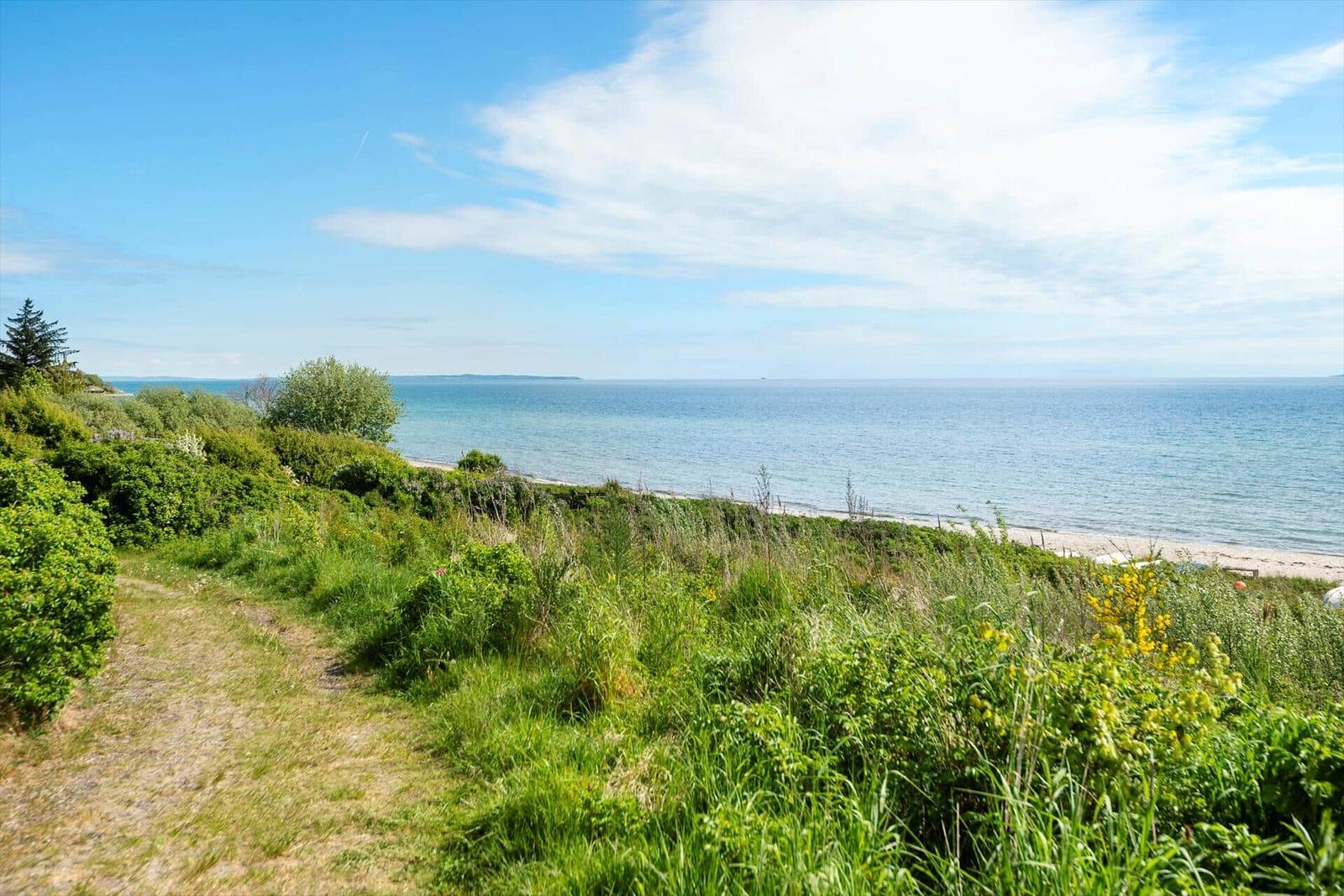 Path through greenery to seaside promenade with sea view.