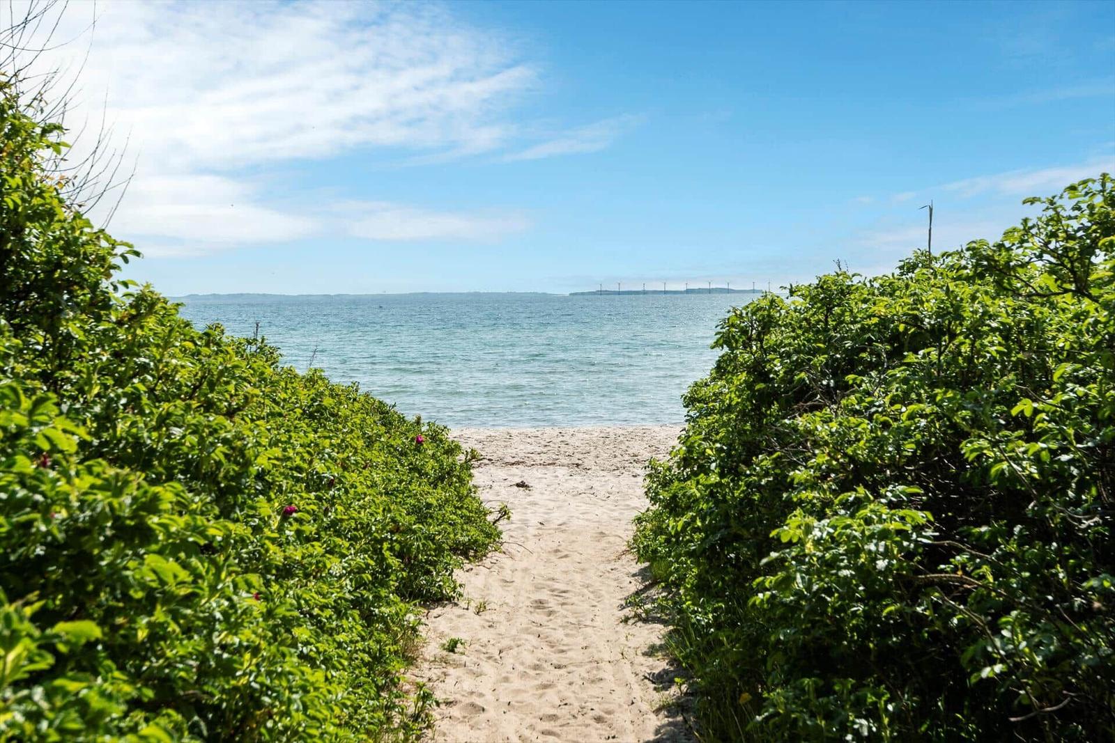 Sand path leads through greenery to beach and sea with view of island.