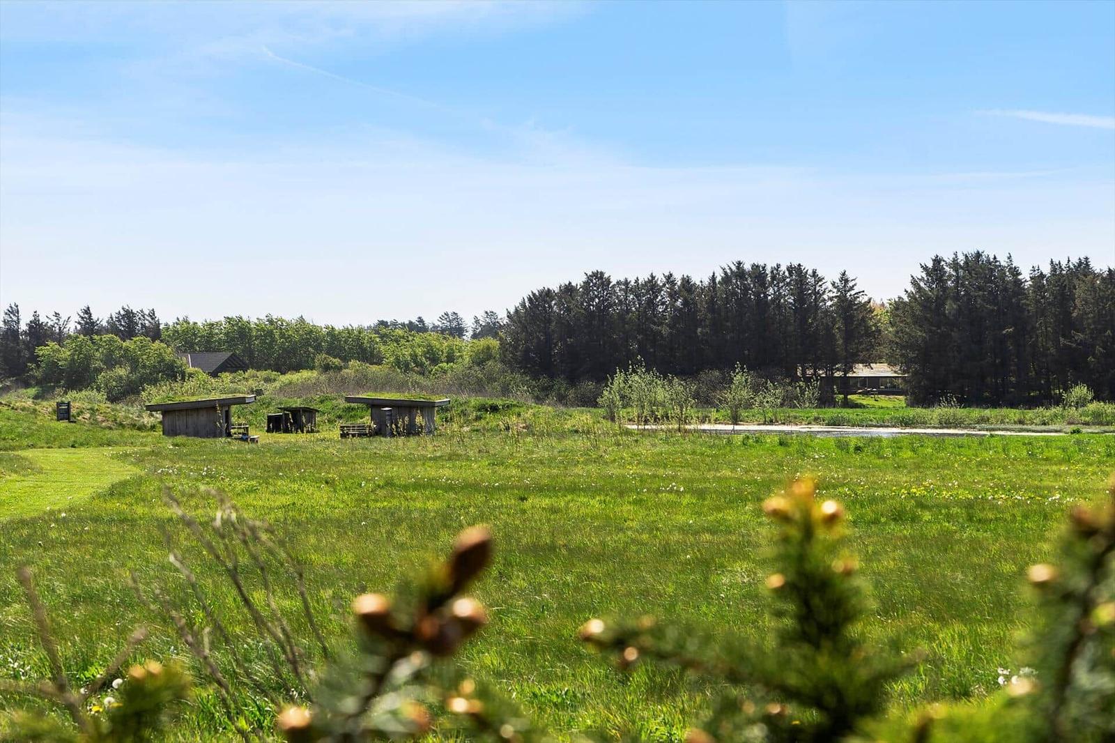 Large green field with wooden structures and forest in background under blue sky.