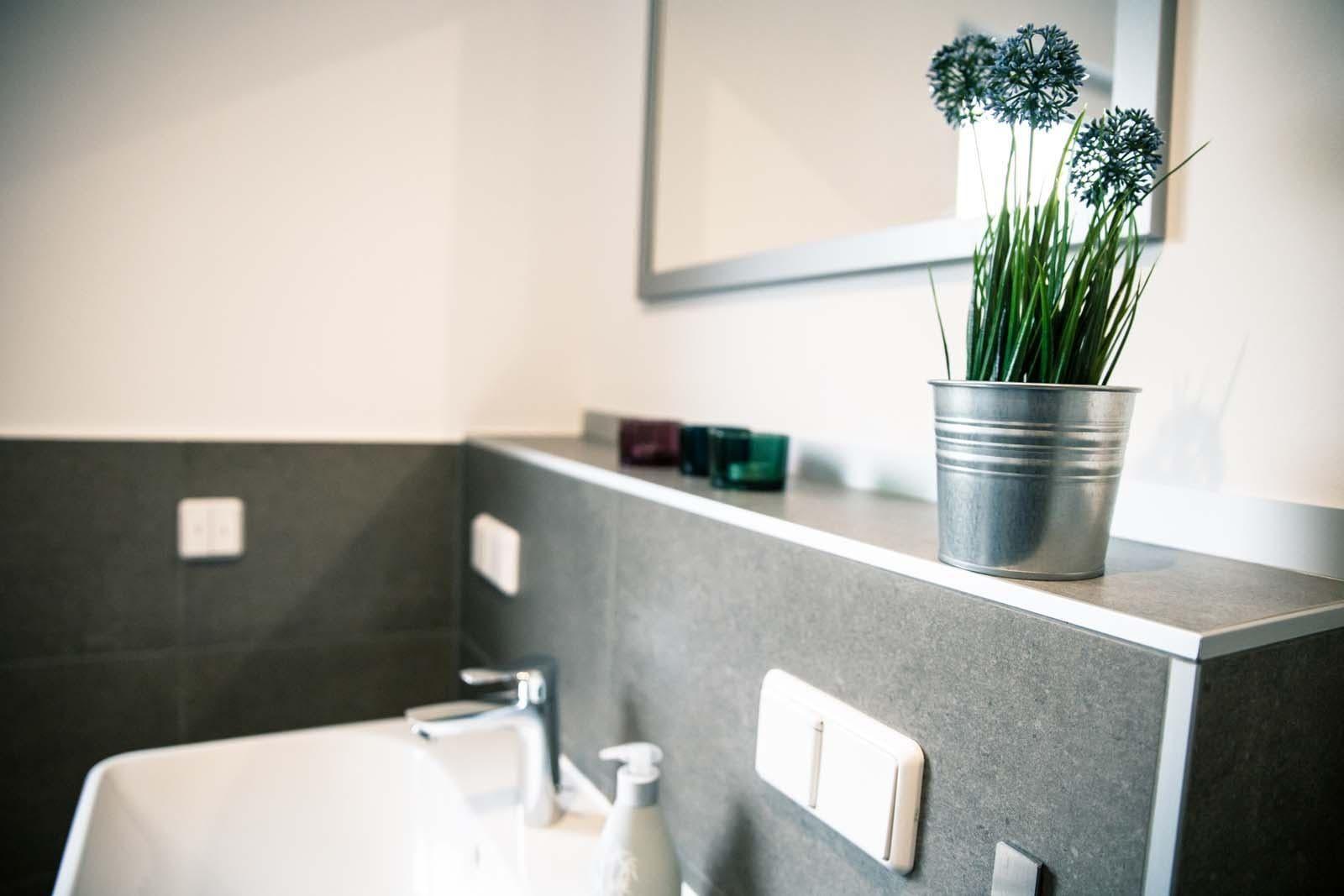 Badezimmer mit Waschbecken, Spiegel und Pflanze auf der Ablage.