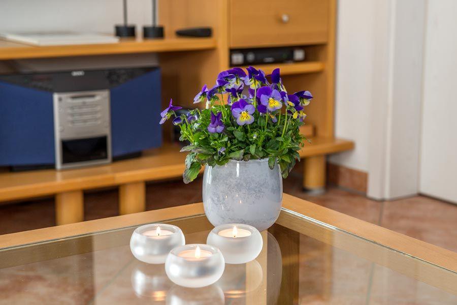 TV, Radio und Bücherecke