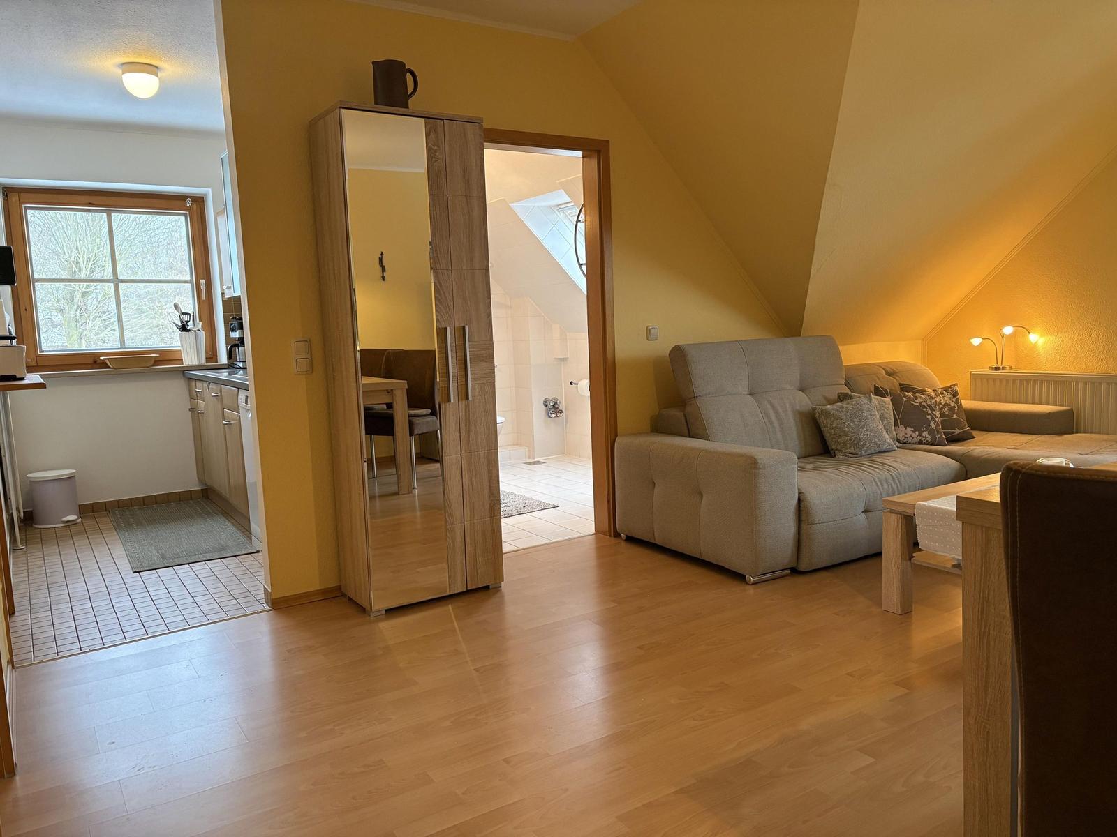 Wohnbereich mit Sofa, Kleiderschrank und Blick in die Küche und Bad.