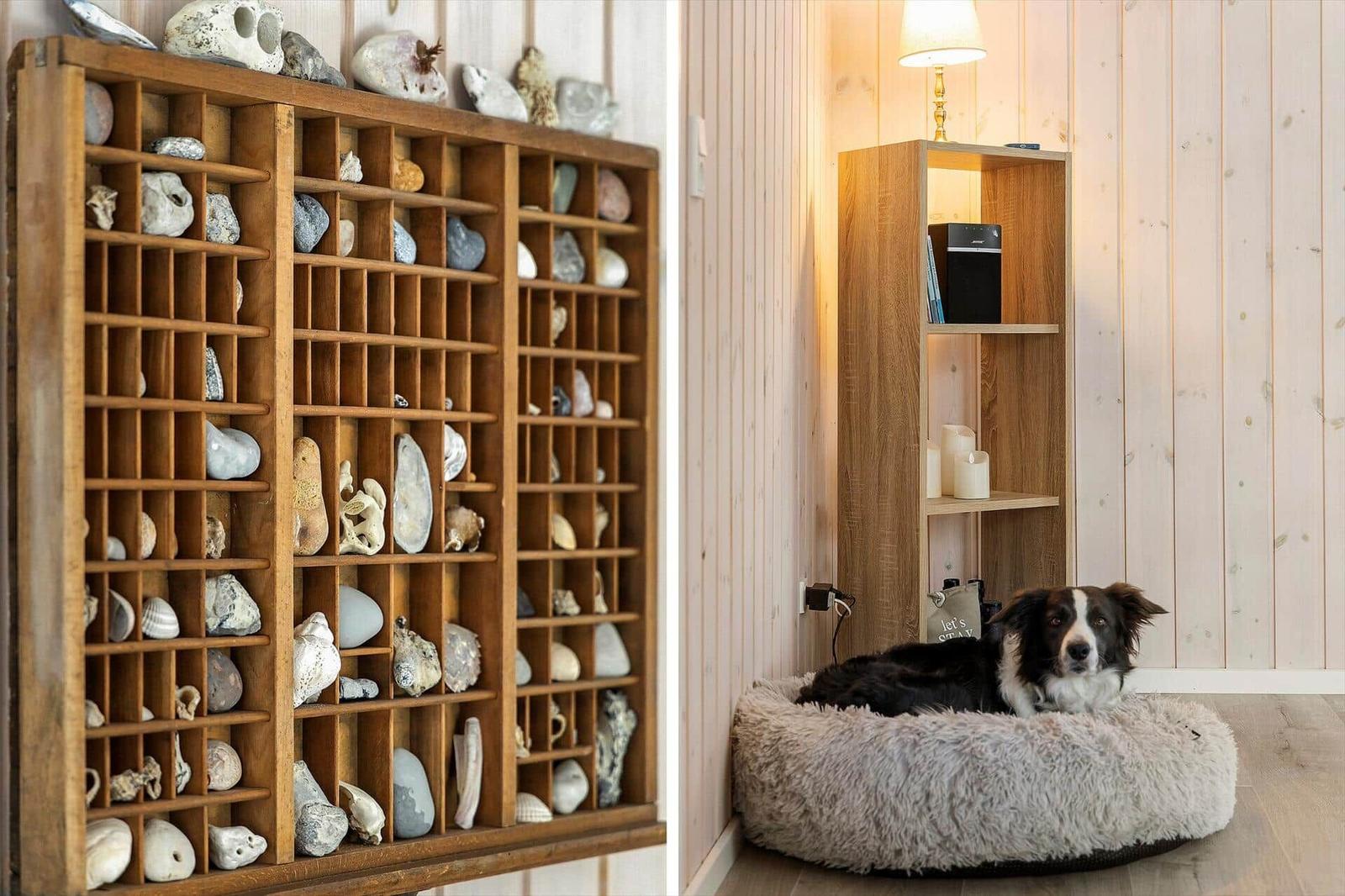 Holzregal mit Steinen und Muscheln. Hund liegt auf Kissen neben Bücherregal.