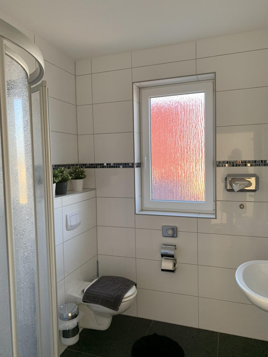 Badezimmer mit Dusche, Toilette und Waschbecken. Fenster mit getöntem Glas.