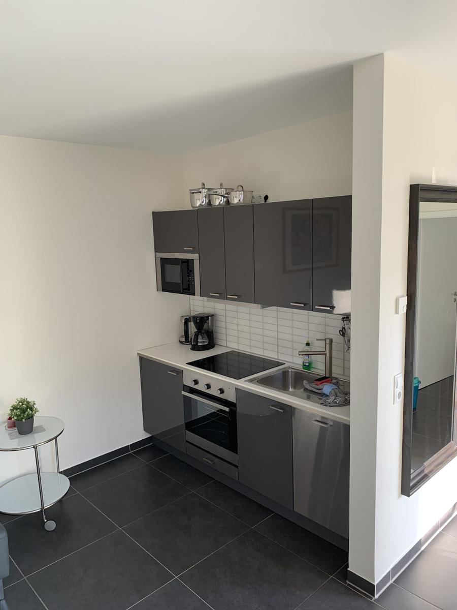 Küche mit grauen Schränken, Spüle und Kochfeld. Kleiner Tisch mit Pflanze daneben.