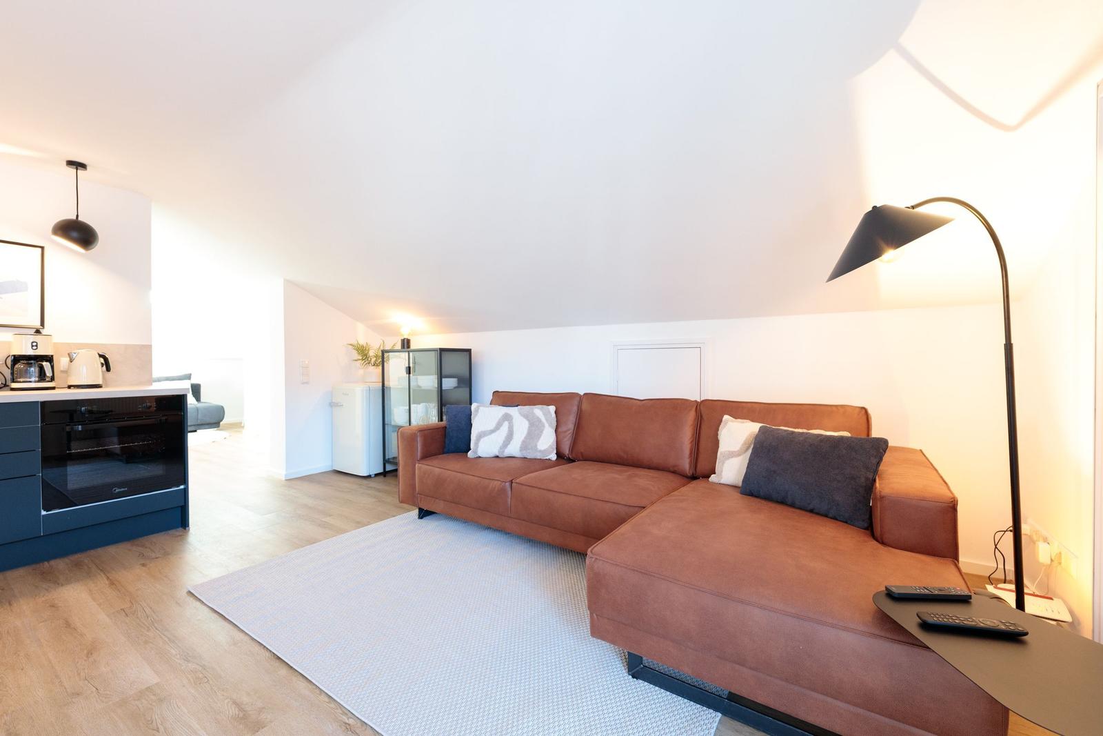 Wohnbereich mit braunem Sofa, Teppich und Stehlampe. Küchenbereich mit Dunstabzug.