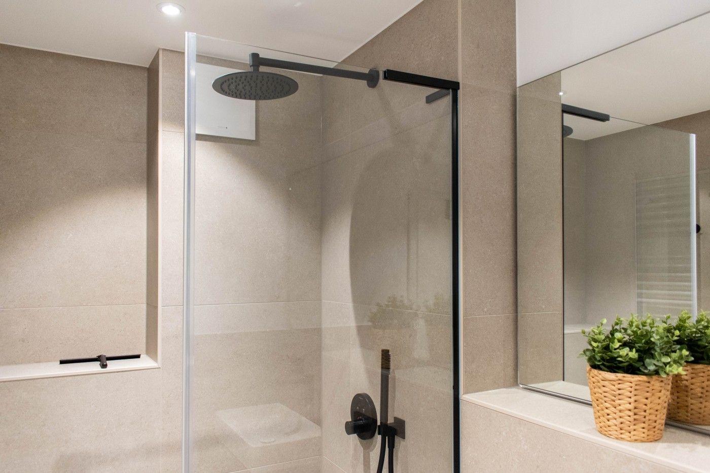 Dusche mit Glaswand, Duschbrause und Spiegel mit Pflanze.