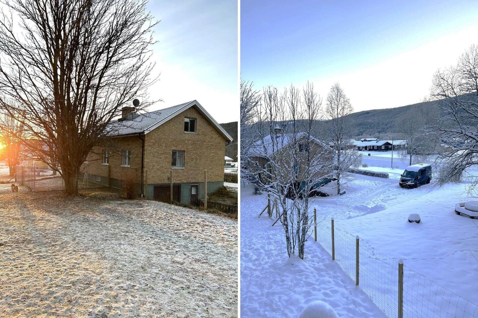Ein Haus mit Schneebedecktem Grundstück und Bäumen im Winter.