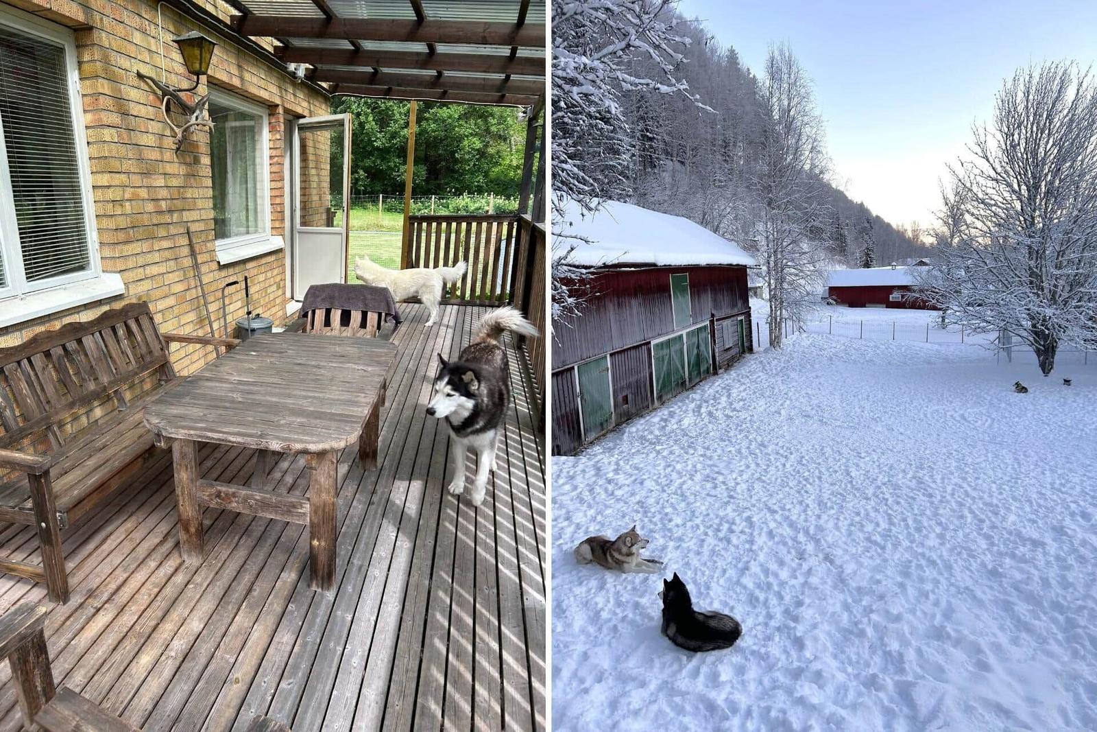 Terrasse mit Tisch und Bank, Hunde draußen. Schneebedeckter Hof mit Scheunen.