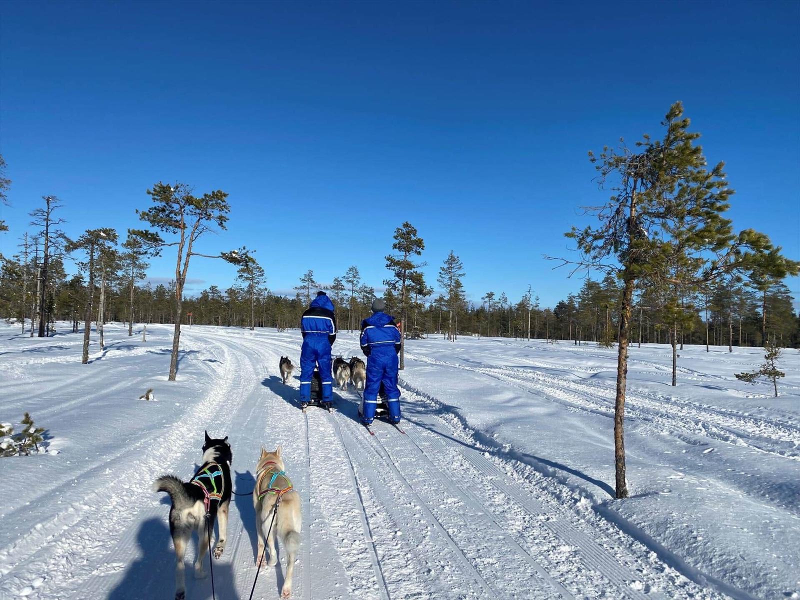 Zwei Personen mit Schlittenhunden unterwegs durch verschneite Landschaft mit Bäumen.
